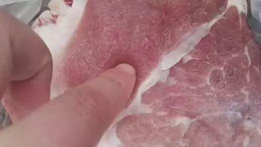 最新猪肉疫情下的学习变革，铸就自信与成就的力量