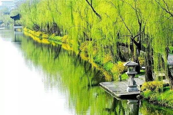 扬州最新感染背后的自然美景探索之旅