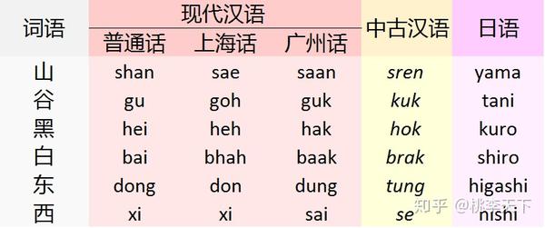 探索音韵之美，领略语言魅力——通韵最新资讯