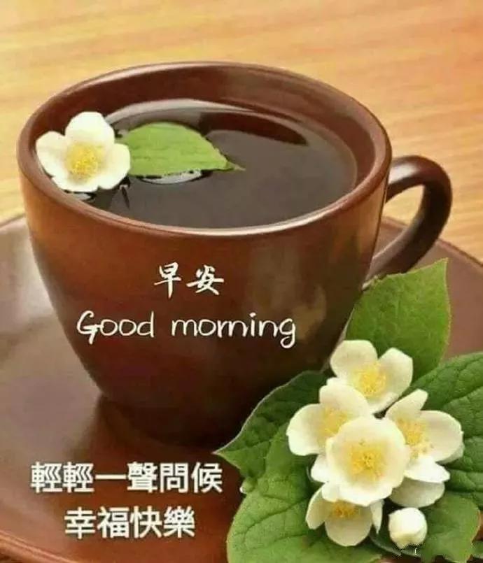 友情与陪伴的温馨日常，最新LP尺分享