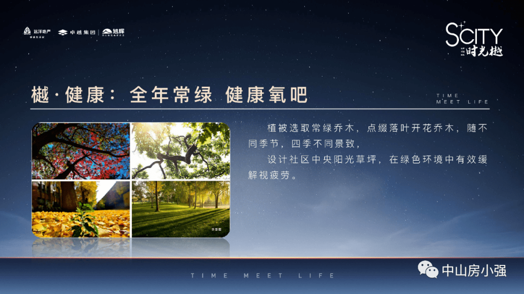 最新弈星深度解析与观点阐述