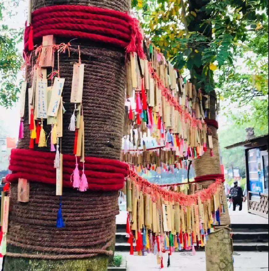 探索自然美景的轻松之旅，最新祈求战之旅