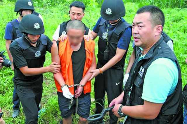 仪征杀人案深度剖析，案件细节与社会反响探讨