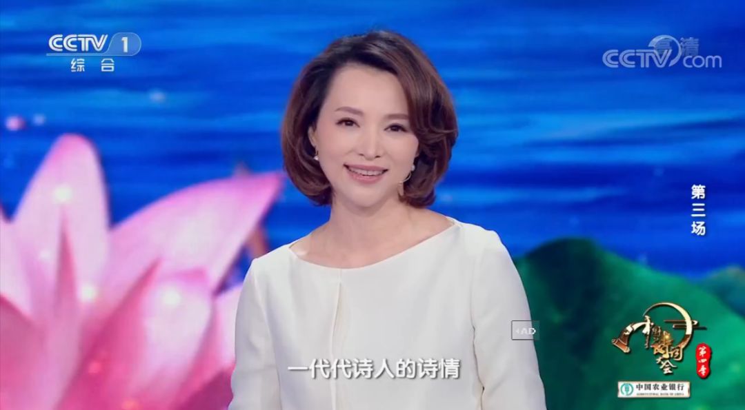 杨晨曦婚礼最新主持词汇总