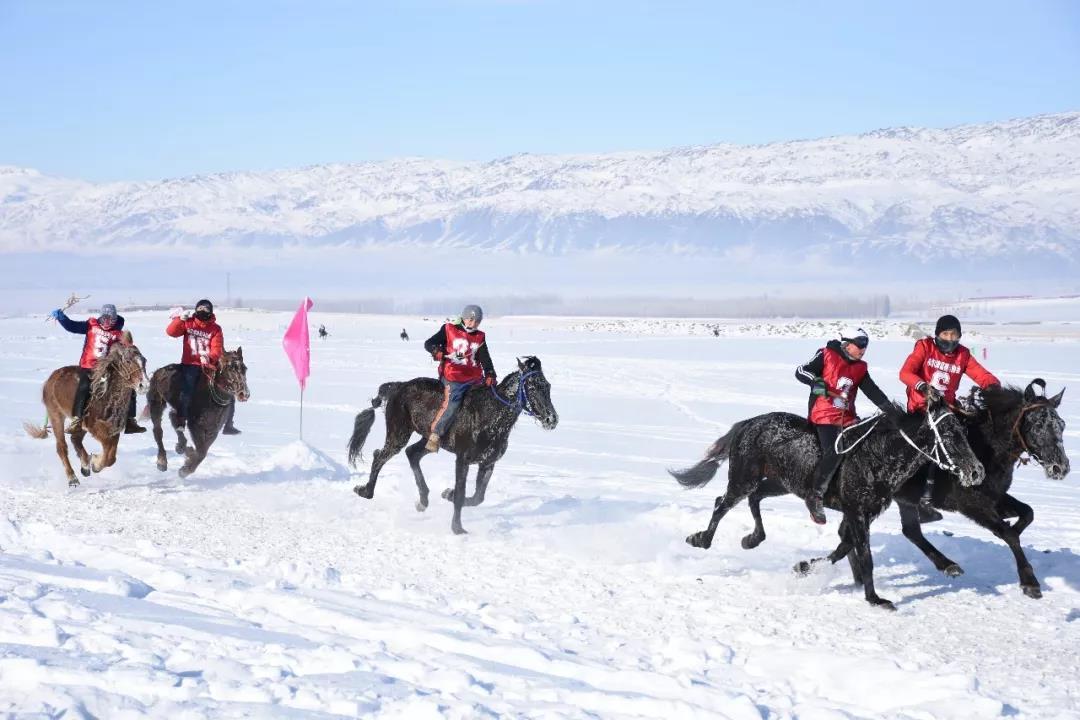 企业退休职工旅行新篇章，探索自然美景，重拾内心平静