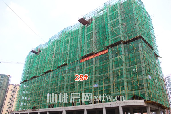 仙桃沔阳公馆的最新动态与消息更新