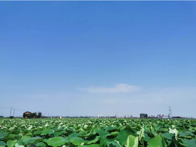 西洞庭管理区最新新闻探索自然美景，寻求内心宁静之旅