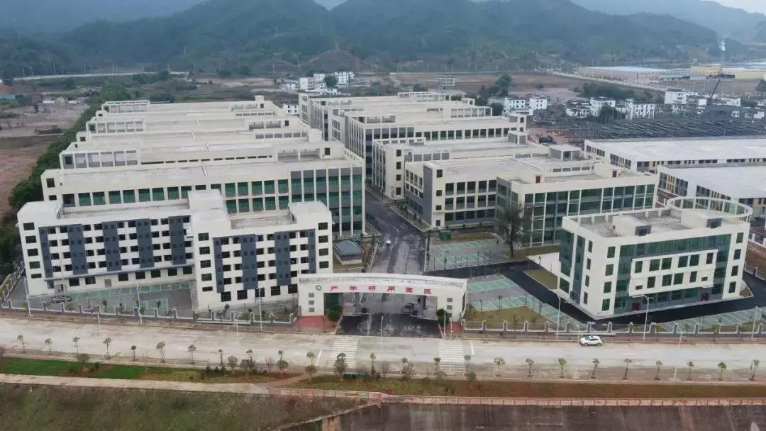 全南最新招聘动态及职业机会解析与招聘信息概览