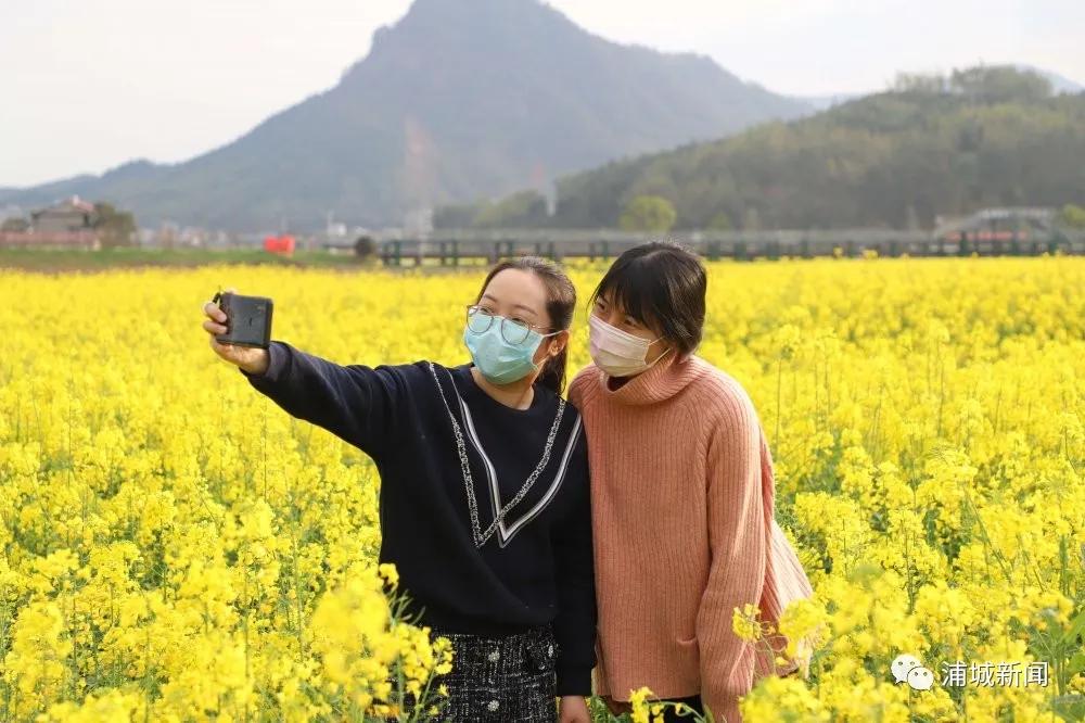 浦城铁路建设最新动态，启程探索自然美景的旅程