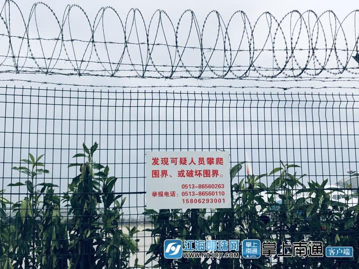 最新手机铃声热门歌曲，音乐的追逐与选择
