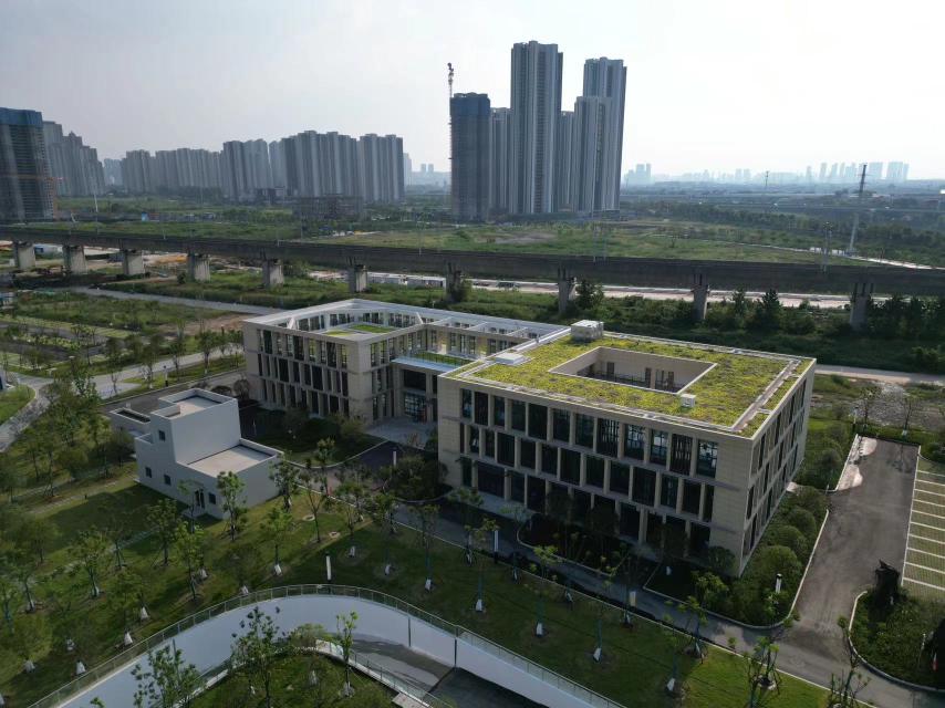 央企入藏之旅，最新动态与温馨日常故事揭晓