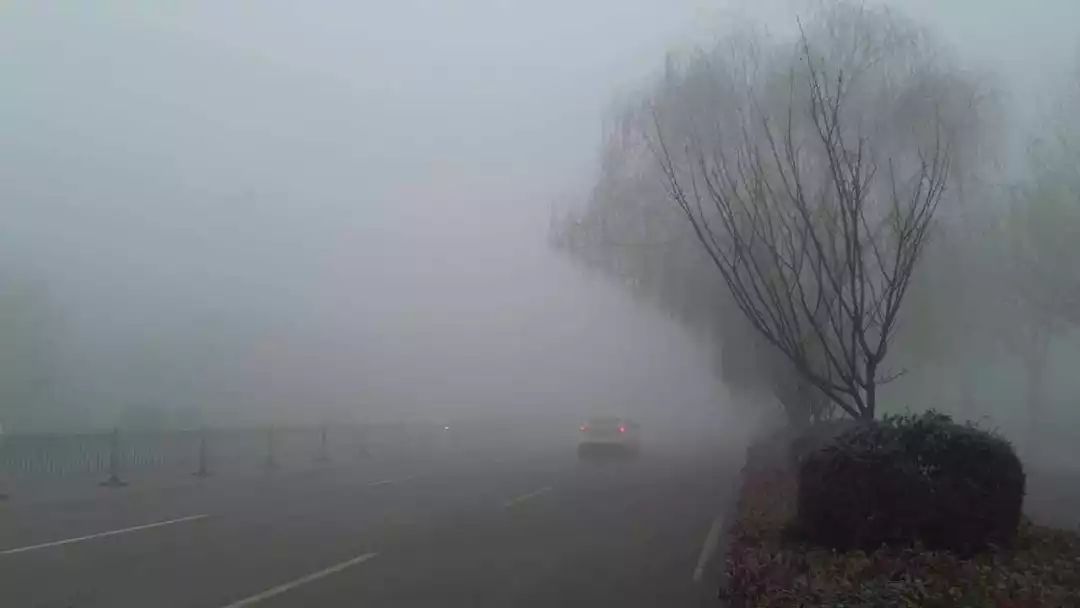 益娄衡高速最新动态，驶向自然美景的旅程，探寻内心平和之路