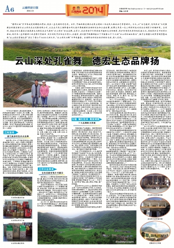 三门刘小中的最新职务，小巷深处的独特风味探索之旅引领者