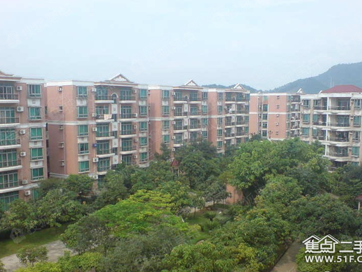 顺德碧桂园凤凰湾最新房价，科技前沿居所，生活共舞新篇章
