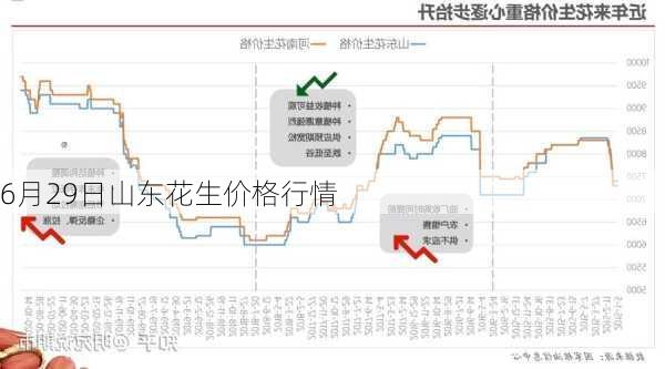 山东最新花生米价格，科技引领下的未来生活行情分析