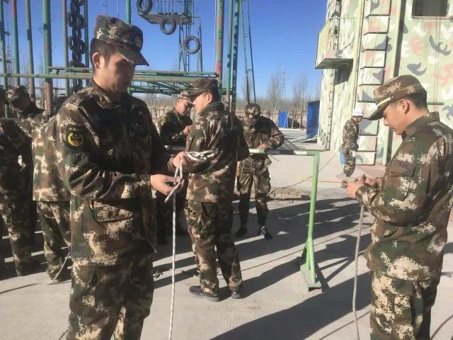 武警水电岳曦最新动态及技能学习与任务完成指南