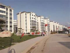 海东市乐都区最新新闻报道