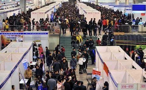 葫芦岛最新招聘会盛况与求职热点深度解析