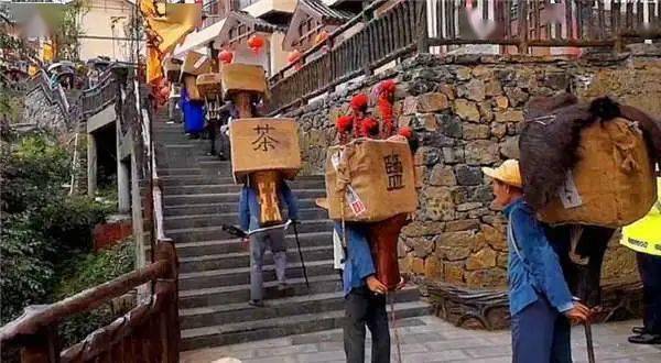 练武巅峰最新章揭秘，神秘小巷中的秘密小店