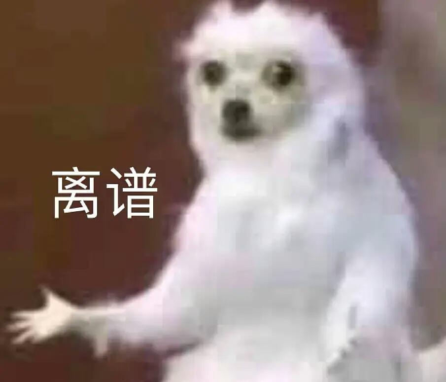 变化中的自信与成就感，荒唐言最新之旅的魔法启示