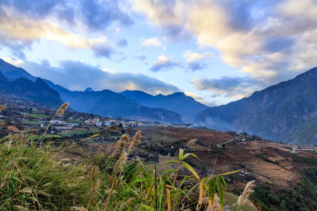 探索自然美景的治愈之旅，明媚最新章节