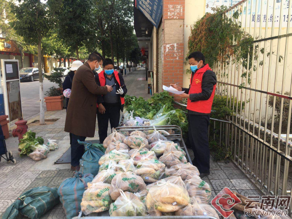 隆江最新疫情之下的小巷奇遇，隐藏深处的特色小店