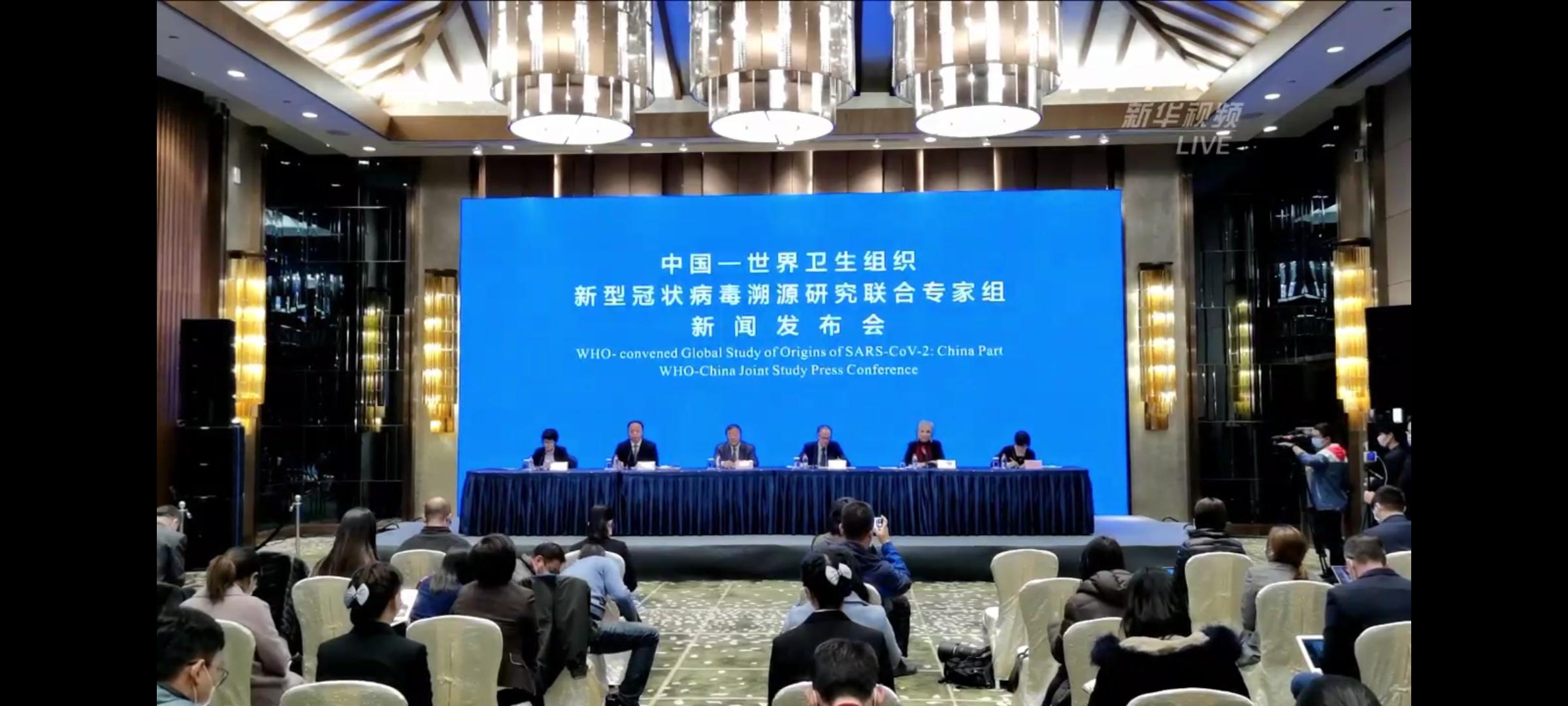 全球抗击新冠病毒新进展与挑战，疫情最新阶段分析