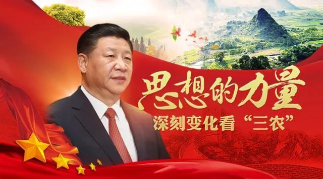 雷增荣的最新动态，变化中的力量与自信成就之旅
