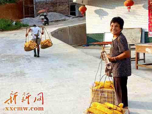 桑梓镇最新签约，自然美景探索之旅启动