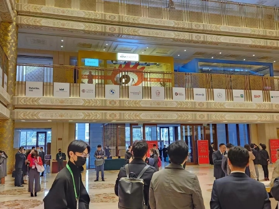 最新浪友论坛揭秘，巷弄深处的小店探秘之旅
