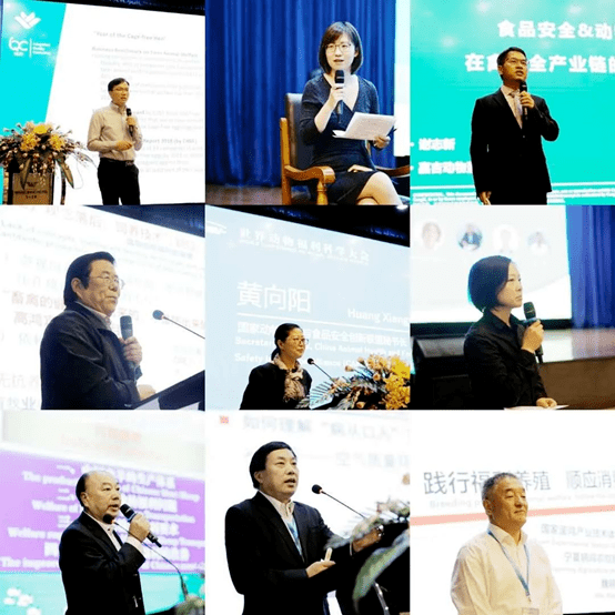 福利活动论坛最新更新，欢乐社区聚会，感受爱的力量