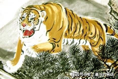 四胡虎最新系列，变化中的学习之路，自信与成就感的源泉
