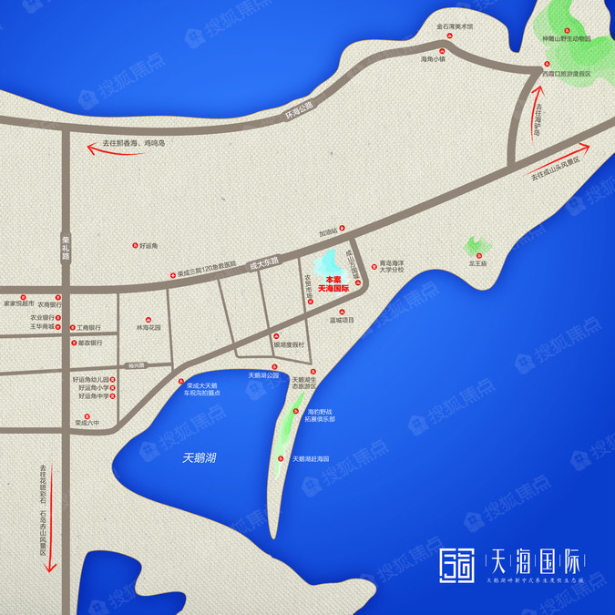 天海最新情况概览，最新动态与发展解析