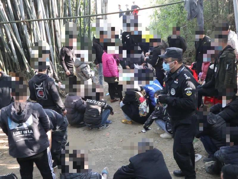 阳江最新偷仔现象揭秘，探究背后的真相与应对策略