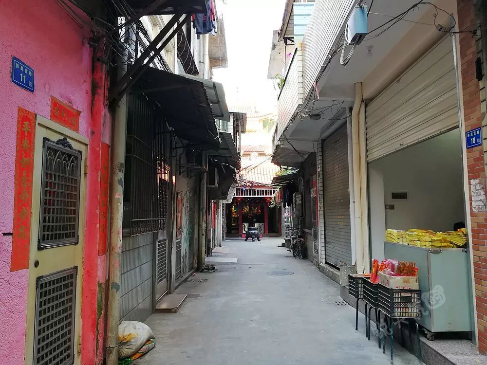 最新防风新规下的独特小巷风情与隐藏小店探秘揭秘