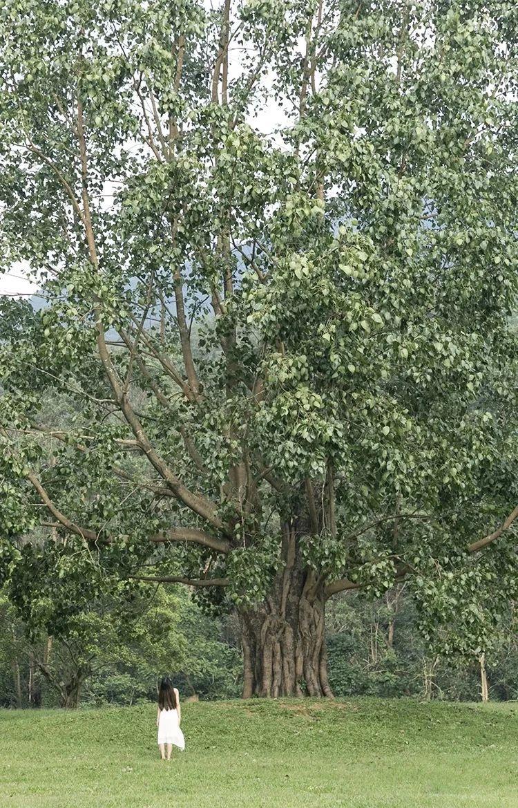 自然美景探索之旅，最新动态与轻松启程