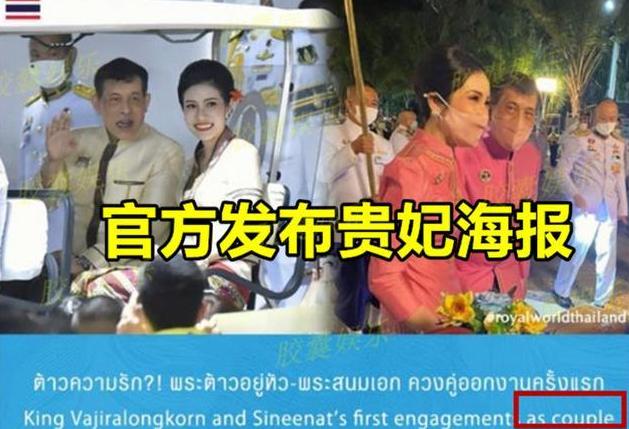 最新流行钩织深度解析，背景、事件与地位探讨