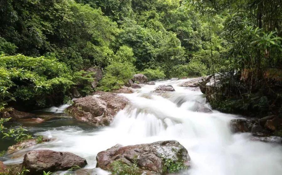 凤凰传奇探寻自然美景，心灵之旅最新报道