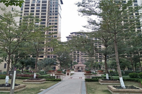坦洲东城四季最新房价及其分析概述