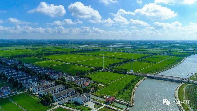 枫泾工业区最新招聘，时代脉搏与工业发展的交汇点