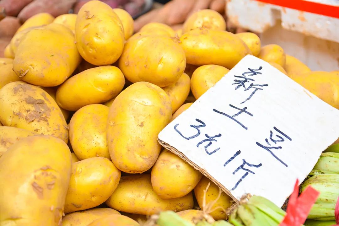 临沂土豆价格实时动态与趋势分析🥔🌱
