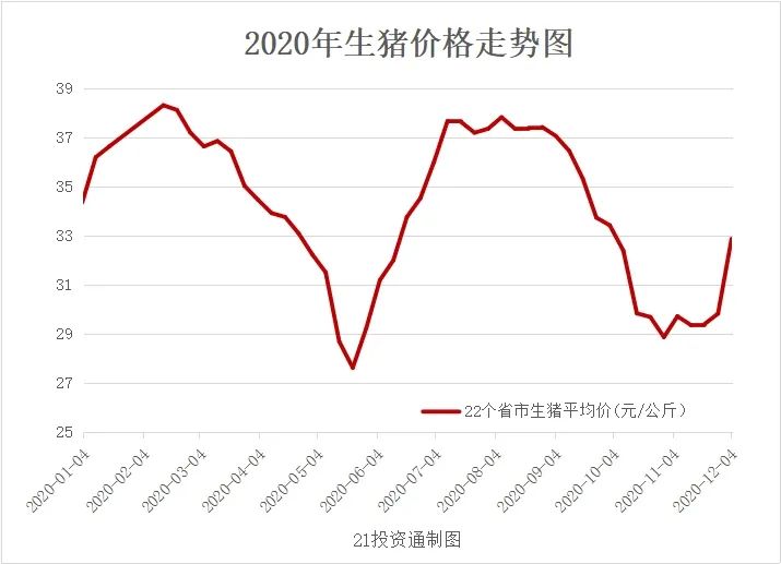 生猪最新价格动态更新，市场行情概览
