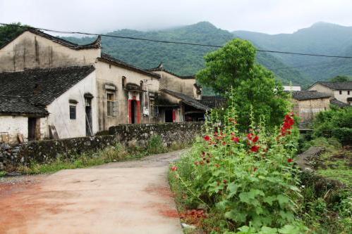 小巷独特风味小店探秘