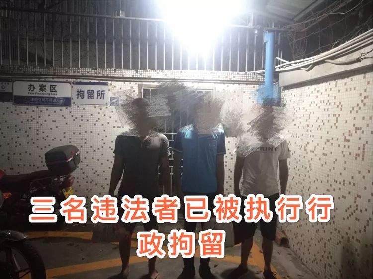 最新动态 第3页