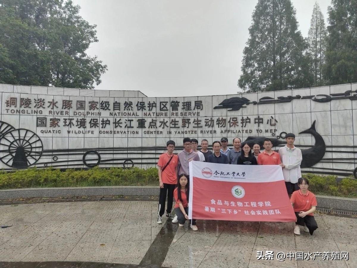 合肥未来城市宏伟蓝图，最新规划图揭秘