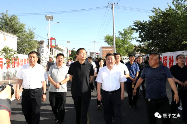 杞县大蒜行情解析与购买指南