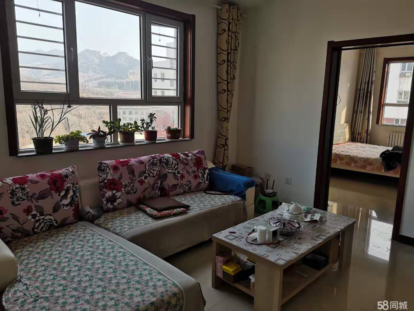 隆化二手房资讯深度探索，小巷深处的独特发现