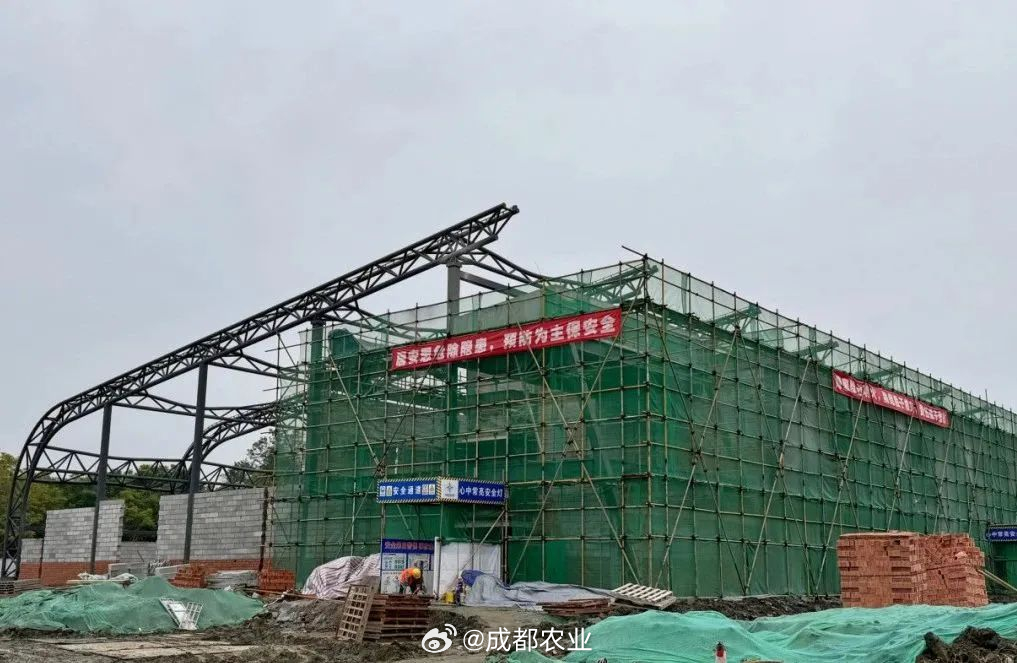 长橡棚改造最新动态，科技驱动重塑生活，未来魅力体验之旅
