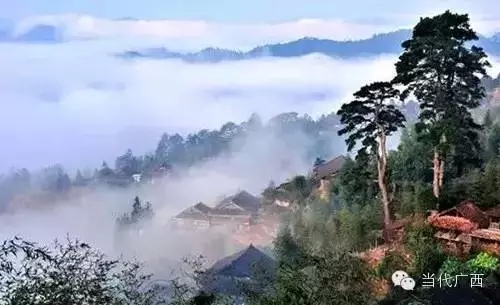 广西人事调整最新动态，启程探寻自然美景的力量之旅