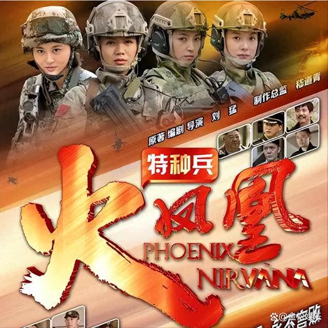 烈火凤凰新篇，深度解析与影响探讨
